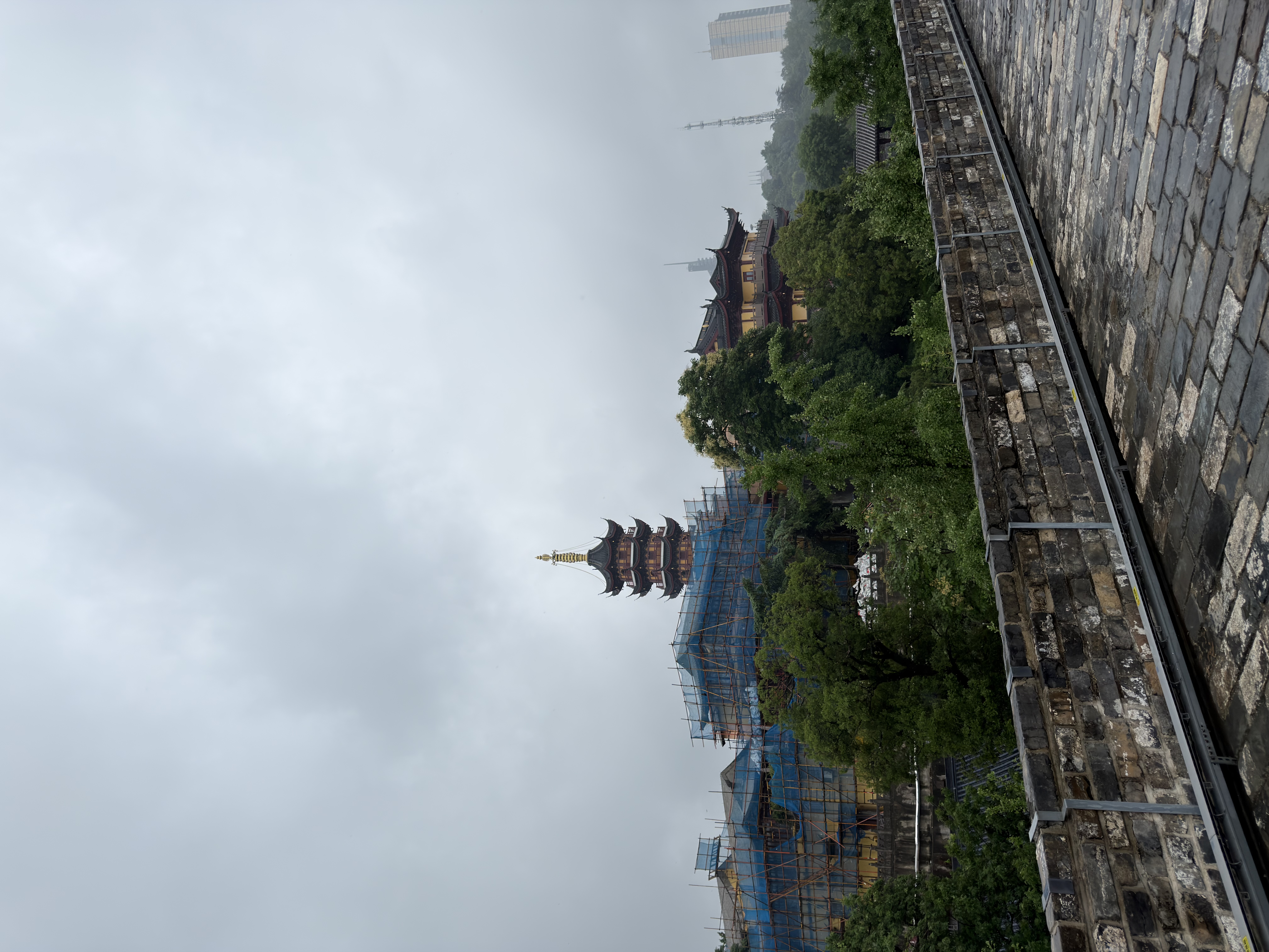 IMG_2348.jpeg