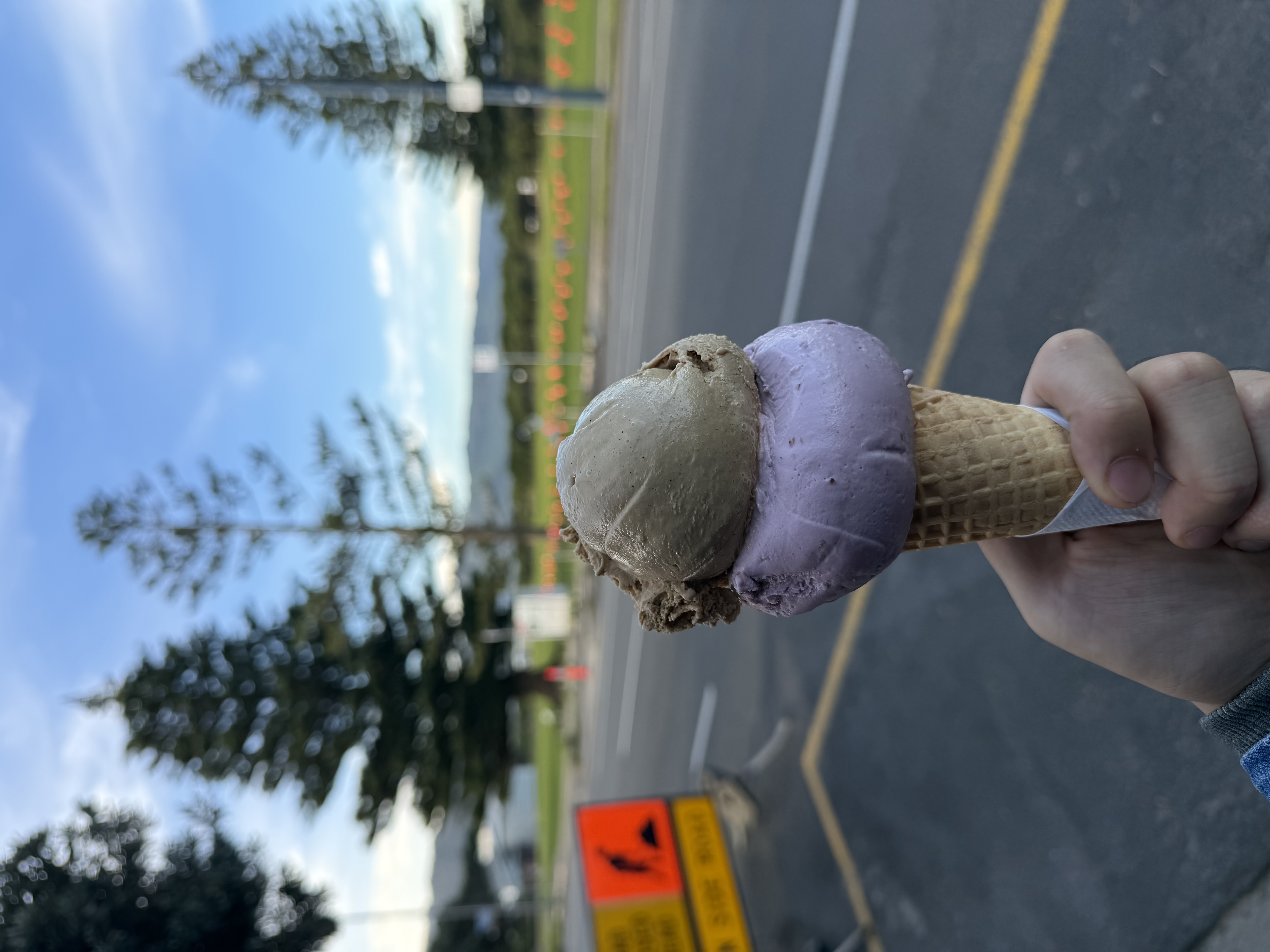 IMG_3435.jpeg