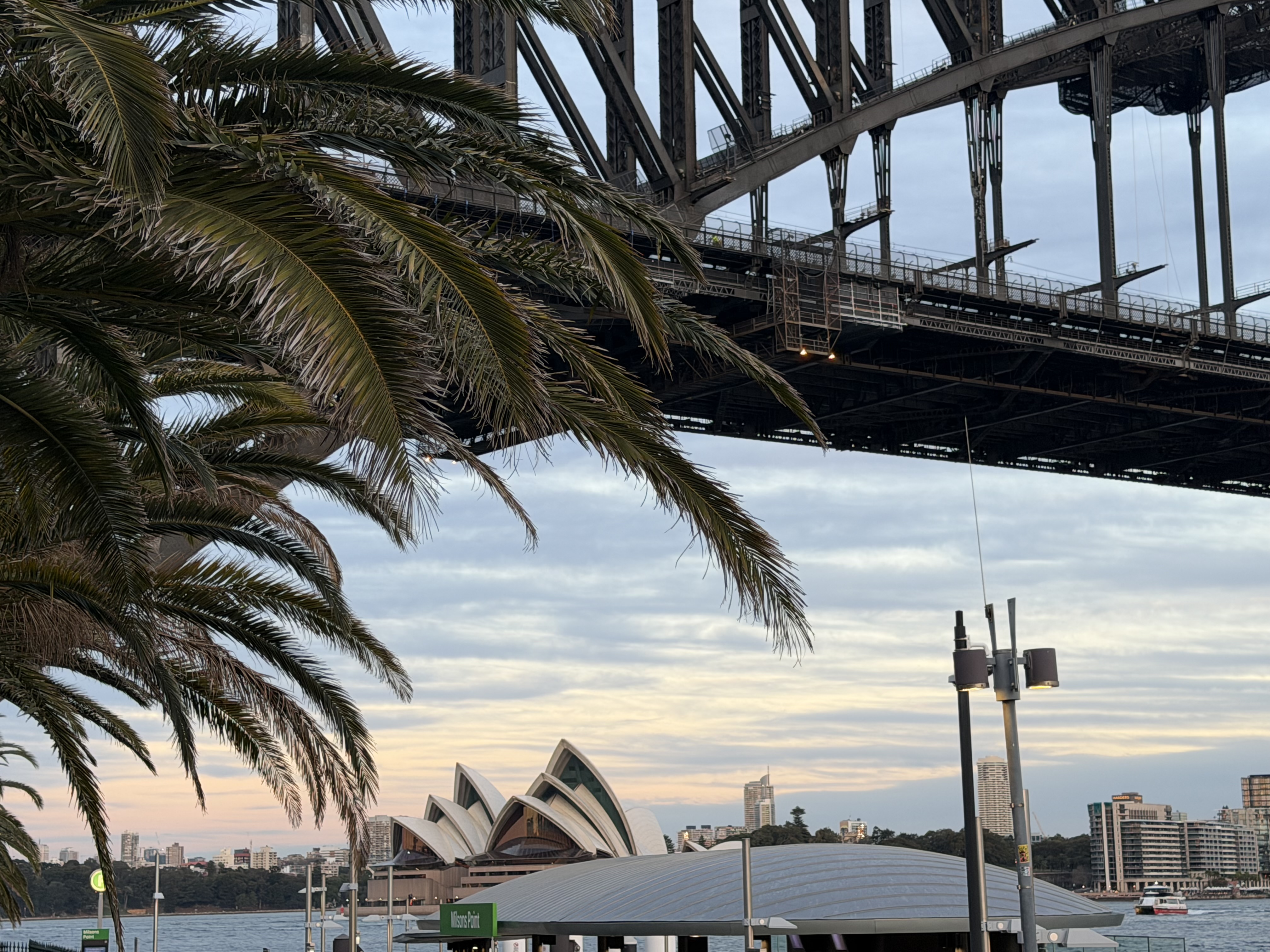 IMG_3743.jpeg